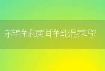 东锦龟和黄耳龟能混养吗？