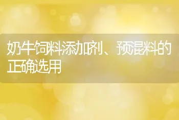 奶牛饲料添加剂、预混料的正确选用