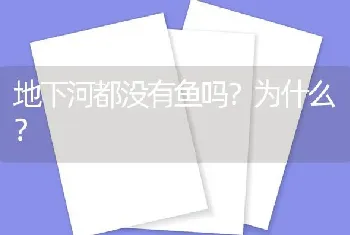 地下河都没有鱼吗？为什么？