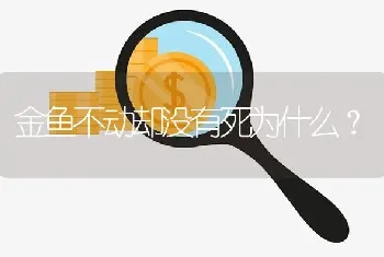 金鱼不动却没有死为什么？