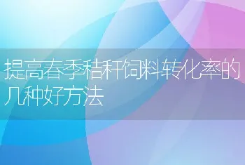 提高春季秸秆饲料转化率的几种好方法