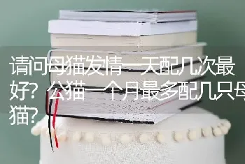 萨摩的，耳朵毛毛会变黄，要怎么处理？