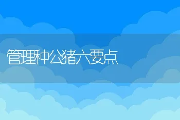 管理种公猪六要点