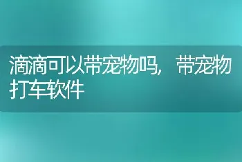 滴滴可以带宠物吗，带宠物打车软件