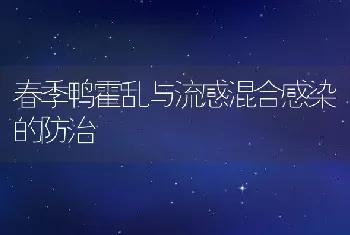 春季鸭霍乱与流感混合感染的防治