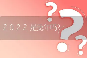 2022是兔年吗？