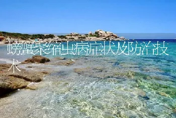 螃蟹聚缩虫病症状及防治技术