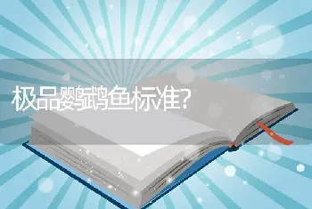 极品鹦鹉鱼标准？