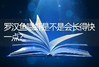 罗汉鱼喂虾是不是会长得快一点？