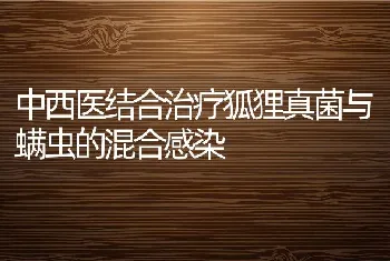 中西医结合治疗狐狸真菌与螨虫的混合感染