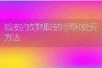 狐皮的成熟取皮时间和处死方法