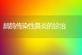 鹧鸪传染性鼻炎的诊治