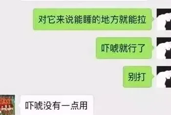 法斗不听话打哪里，狗狗不听话怎么打？