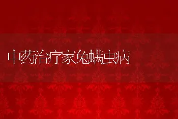 中药治疗家兔螨虫病