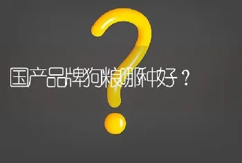 国产品牌狗粮哪种好？