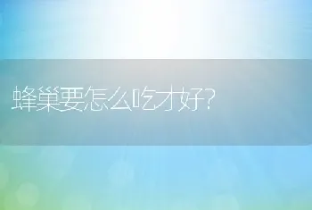 蜂巢要怎么吃才好？