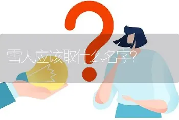 雪人应该取什么名字？