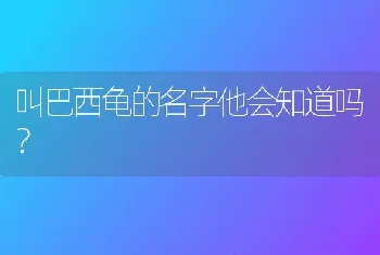 叫巴西龟的名字他会知道吗？