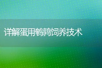 详解蛋用鹌鹑饲养技术