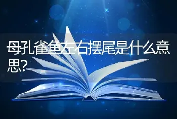 母孔雀鱼左右摆尾是什么意思？