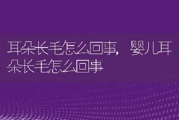 耳朵长毛怎么回事，婴儿耳朵长毛怎么回事