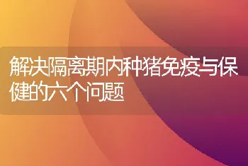 解决隔离期内种猪免疫与保健的六个问题