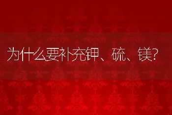 有关虾参混养技术的要点