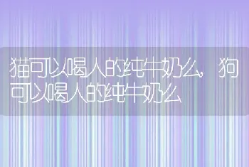 猫可以喝人的纯牛奶么，狗可以喝人的纯牛奶么