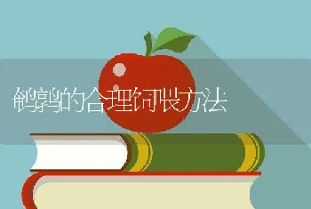 鹌鹑的合理饲喂方法