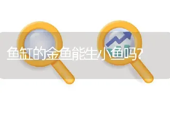 鱼缸的金鱼能生小鱼吗？