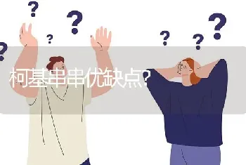 柯基串串优缺点？