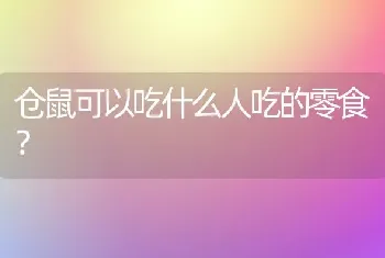 仓鼠可以吃什么人吃的零食？