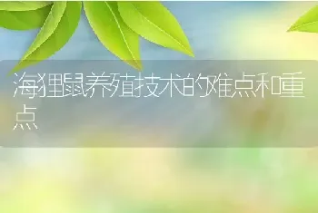 海狸鼠养殖技术的难点和重点