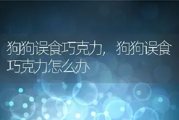 狗狗误食巧克力，狗狗误食巧克力怎么办