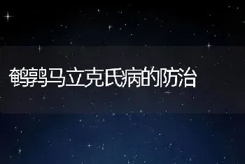 鹌鹑马立克氏病的防治