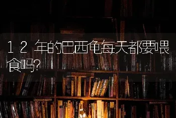 能长30多斤的公羊兔怎么养？