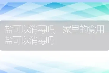 盐可以消毒吗，家里的食用盐可以消毒吗