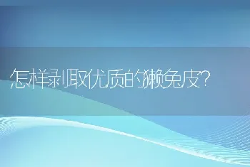 怎样剥取优质的獭兔皮？