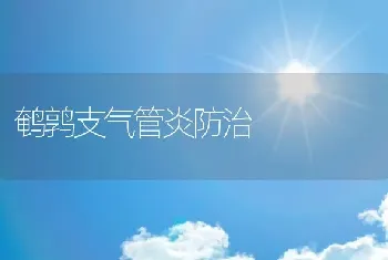 鹌鹑支气管炎防治