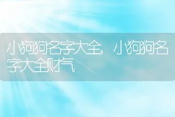 小狗狗名字大全，小狗狗名字大全财气