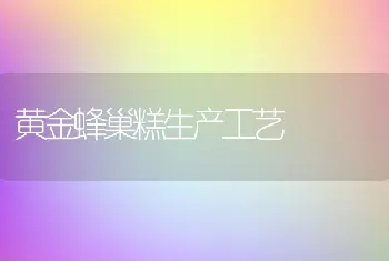 黄金蜂巢糕生产工艺