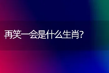 再笑一会是什么生肖？