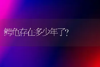 史宾格尾巴短是真的吗？