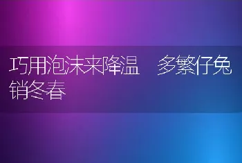 巧用泡沫来降温 多繁仔兔销冬春