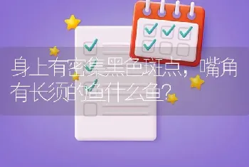 身上有密集黑色斑点，嘴角有长须的鱼什么鱼？