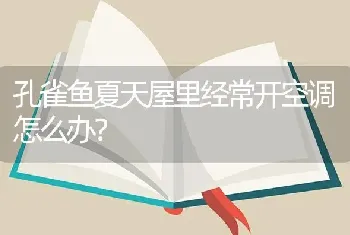 孔雀鱼夏天屋里经常开空调怎么办？