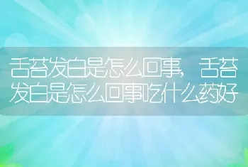 舌苔发白是怎么回事，舌苔发白是怎么回事吃什么药好