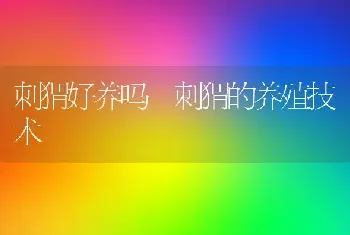 雏鹅养殖技术