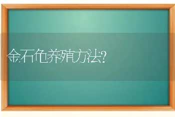 金石龟养殖方法？