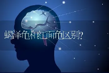 蝎泽龟和红面龟区别？